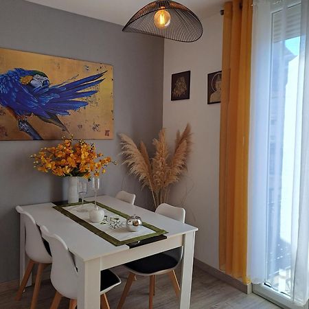Apartamento Chic Et Douillet Perpiñán Exterior foto